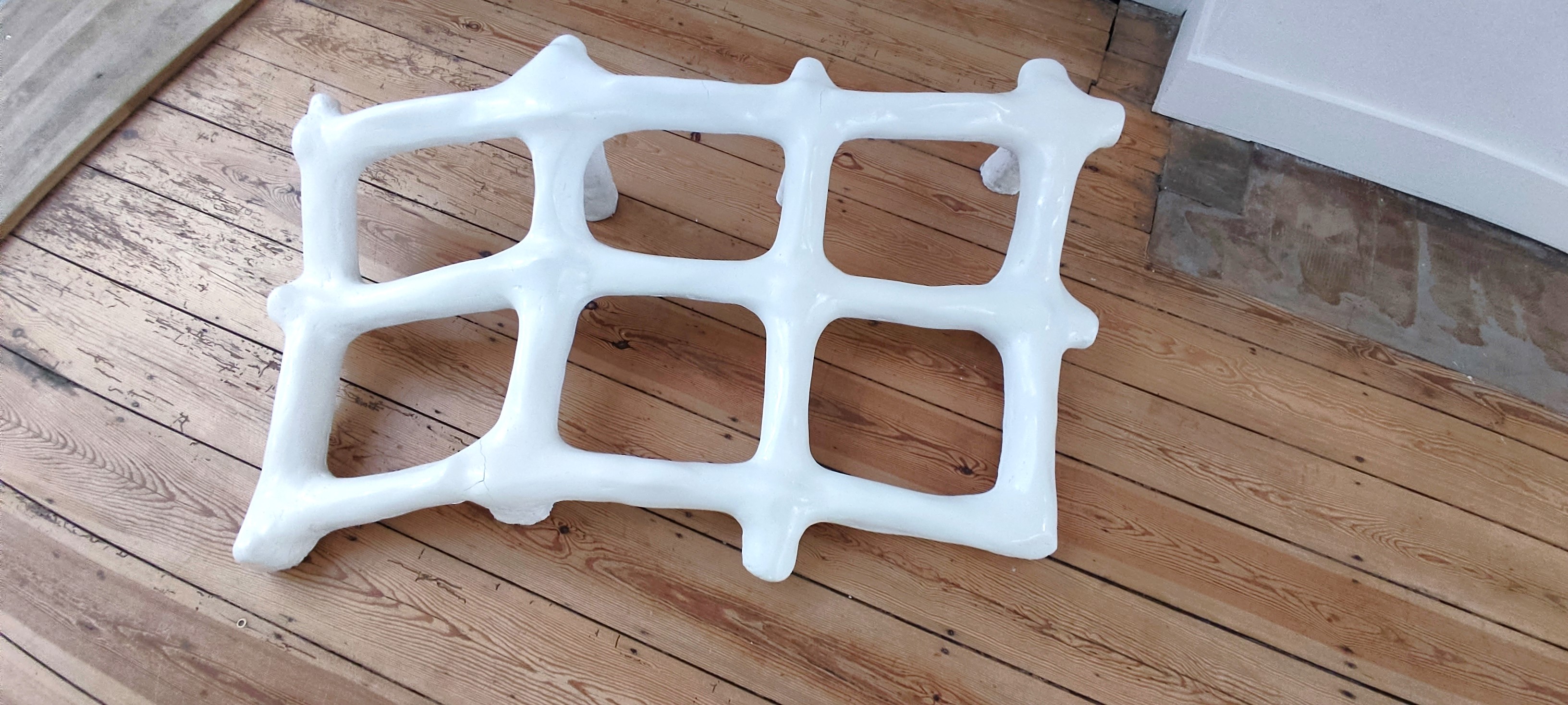 Alice Janne Motion Collision remains