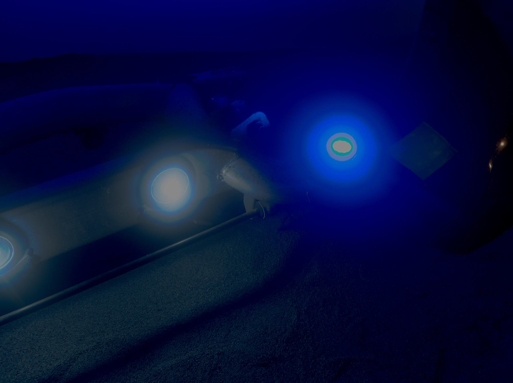 Alice Janne The sour