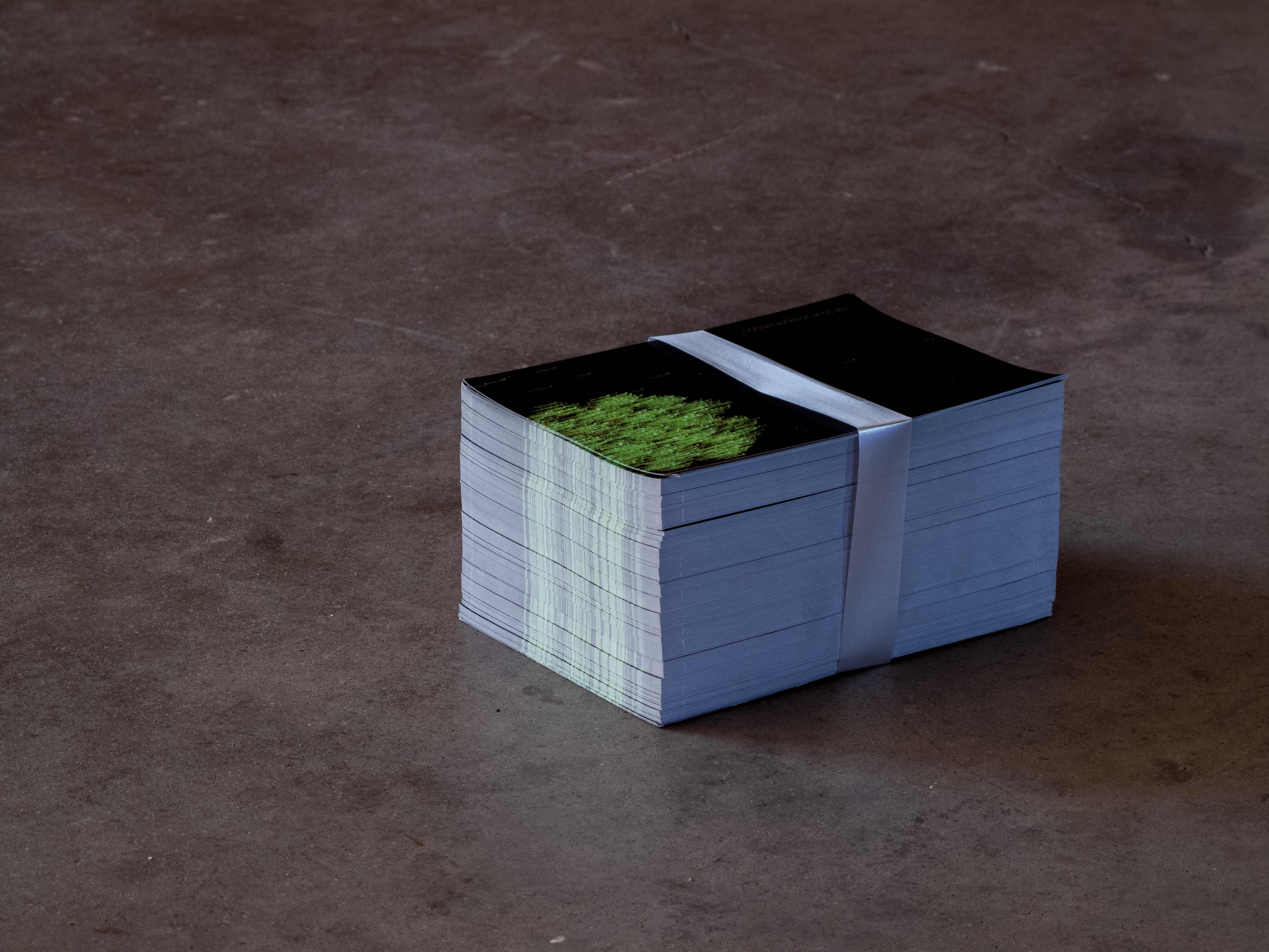 Alice Janne The Sour